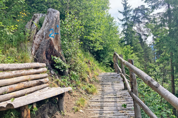 Holztreppe Rundwanderung Crappa Grossa