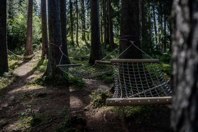Hängemattenwald nähe Aussichtpunkt Flanz