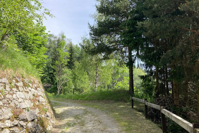 Wanderweg zwischen Rabius und Surrein