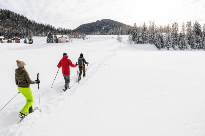 Wildboden-Trail (oua_88676383_image)