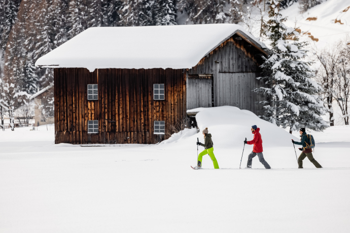 Wildboden-Trail (oua_88676411_image)