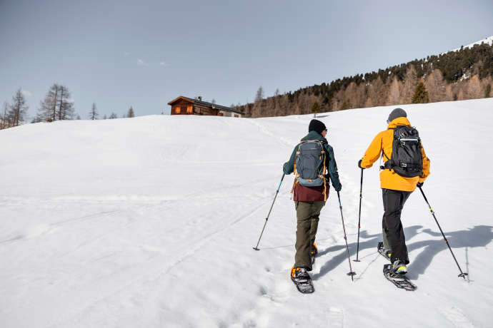Pischa Route: Berg - Arvenwald - Tal (oua_88676727_image)