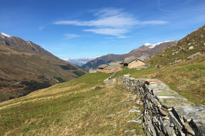 Zerfreila - Ampervreila - Vals (oua_89549485_image)