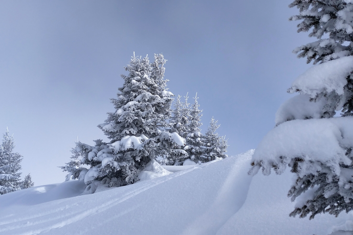 Typische Winterlandschaften während dieser Tour