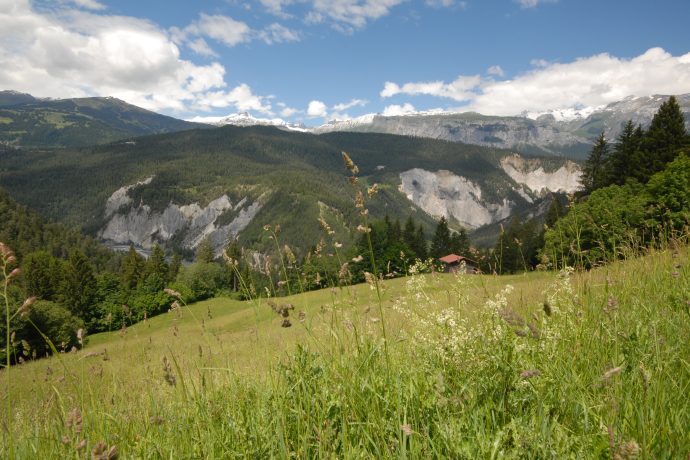 257 Calörtsch (oua_9070386_image)