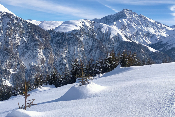 Zwischen Dutjer Alp und Alp da Riein