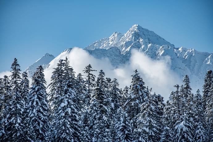 Putzprinz Gujan Ferienwohnung, Haus Surmir B / 16 (oua_91087205_image)