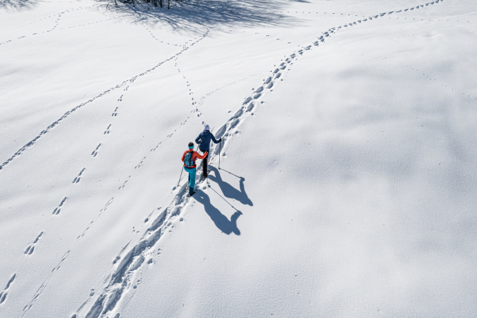 Traces solitaires dans la neige