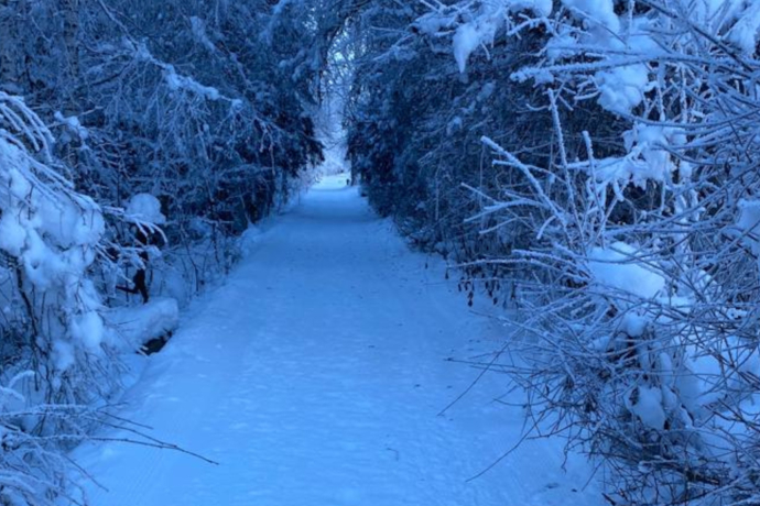 Aufnahme des Winterwanderwegs entlang dem Kunstpfad in Trun.
