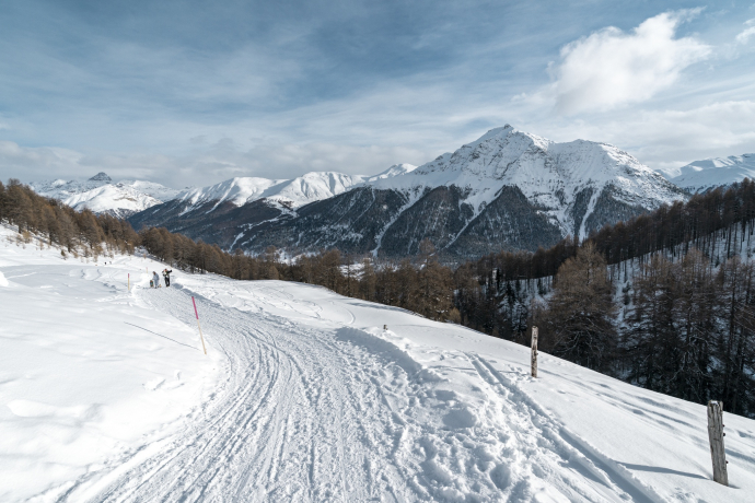 Schlittelweg von der Alp Es-cha Dadour