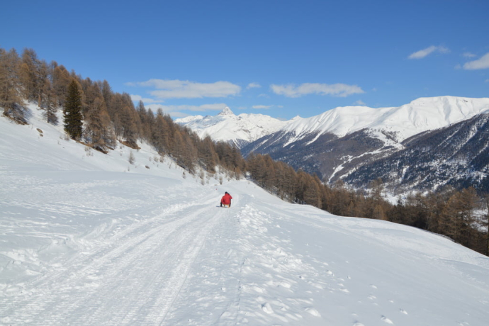Schlittelweg von der Alp Es-cha Dadour
