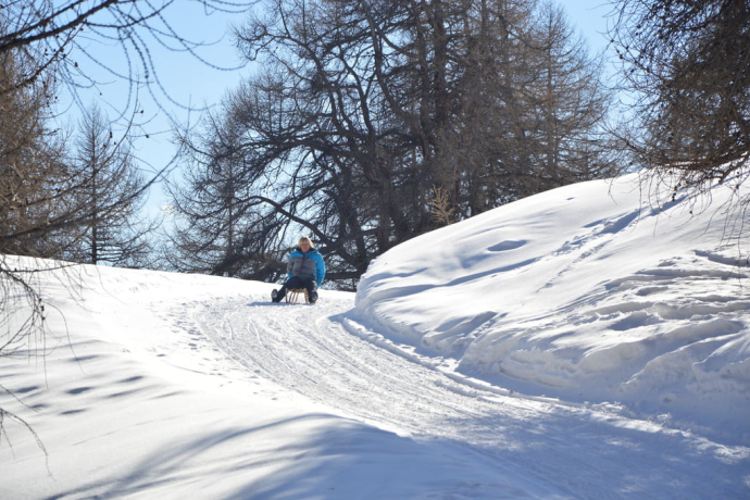 Schlittelweg von der Alp Es-cha Dadour