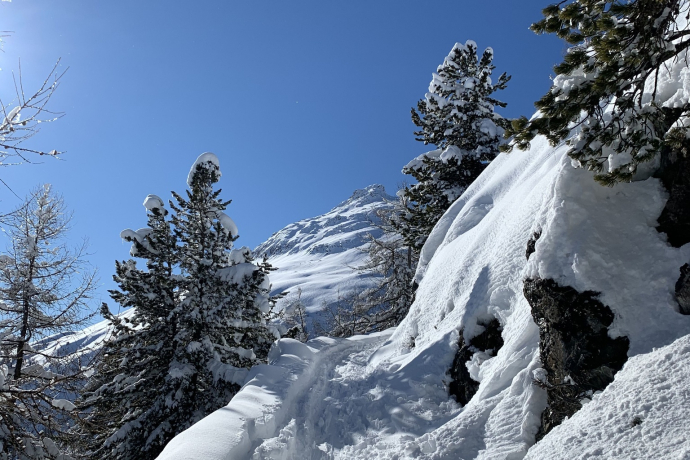Weg zur Alp Muntatsch