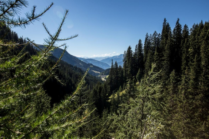 Aussicht nach Langwies