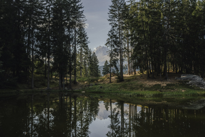 Dachlisee in the evening light