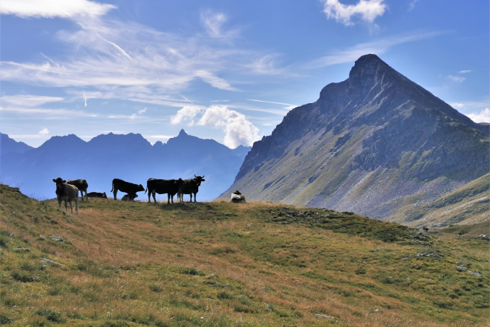 Wanderung Piz Campasc