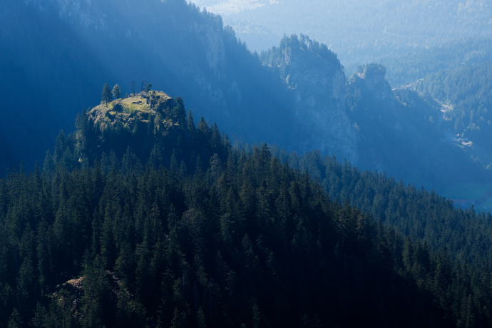 Walser, Ritter und Kühe: Eine Rundwanderung über die Ruine Belmont nach Bargis. (oua_95598246_image)
