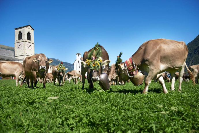 Nationalpark Panoramaweg Etappe 4: Süsom Givè – Il Fuorn [SchweizMobil-Nr. 45] (oua_9665454_image)