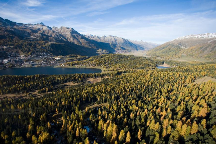 25.03 Maloja - St. Moritz, Senda Segantini