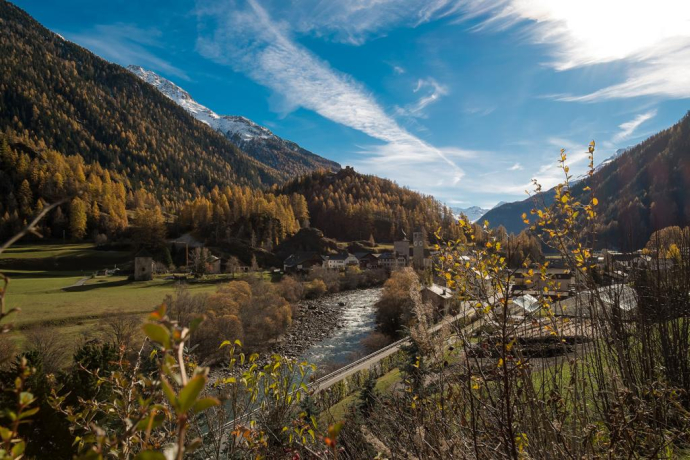 Flesspass und Vereinapass