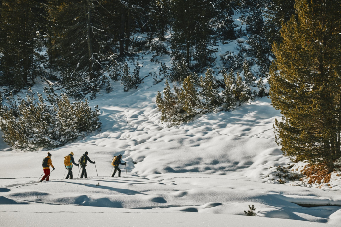 Snowshoe tour from S-charl to Lü in Val Müstair (oua_97300221_image)