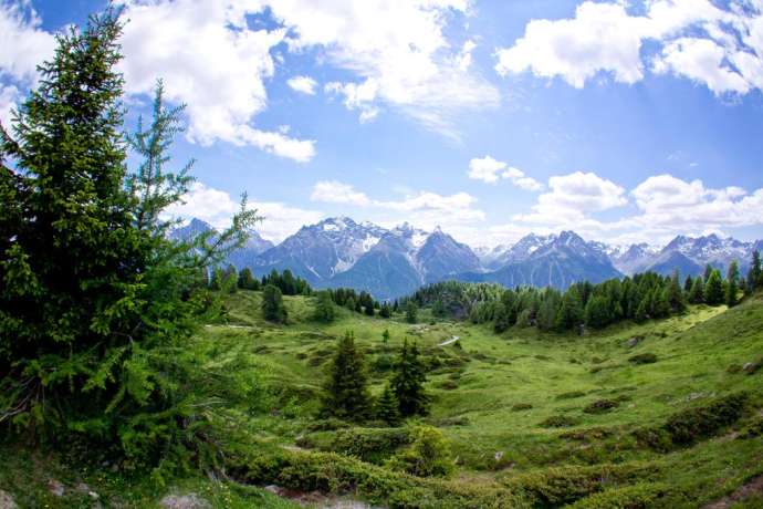 Haut au-dessus de Ftan : Piz Clünas – Alp Laret