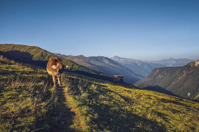 Rinerhorn - Hubelhütte - Äbirügg - Rinerhorn (oua_98307291_image)