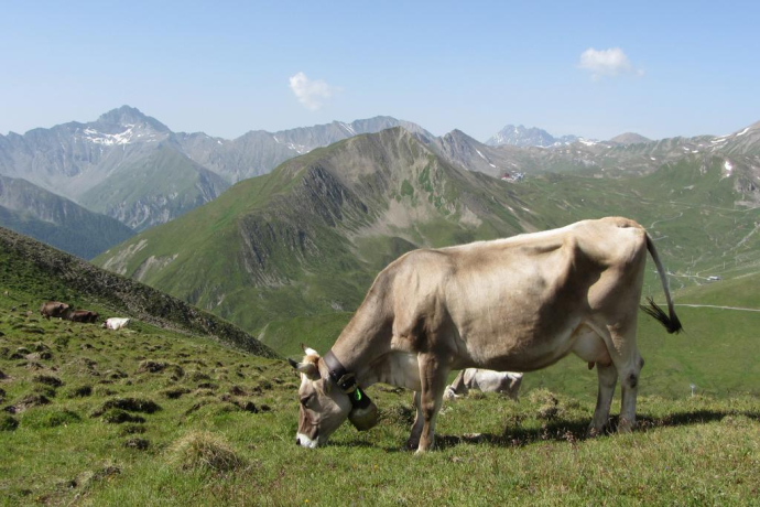 Fliesseralpe and Alp Bella