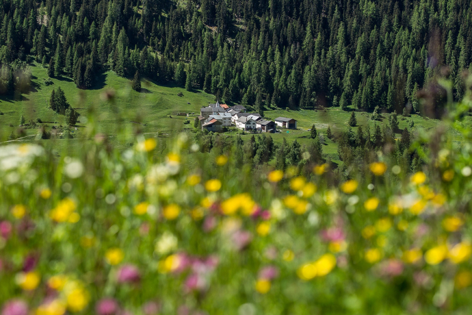 Tarasp – gorge d'Inns – Ardez