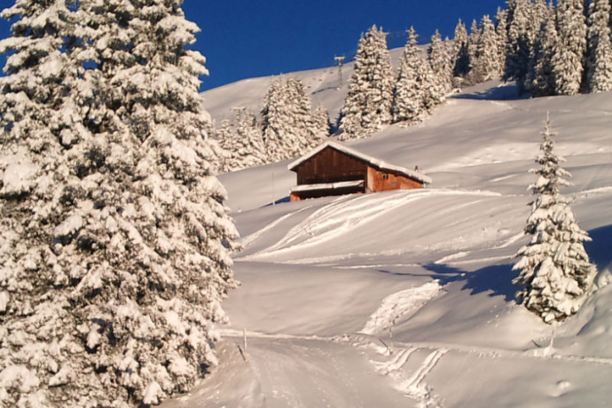 Maiensäss La Casa Cathomen - Ansicht Winter