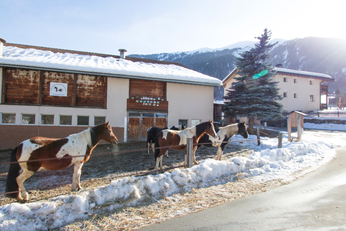 Paclera Hof mit Wohnaus, Stall und Koppel