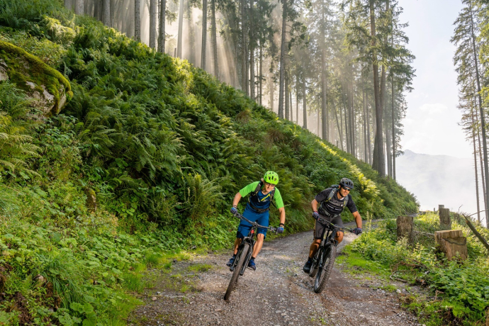 Biken Wald