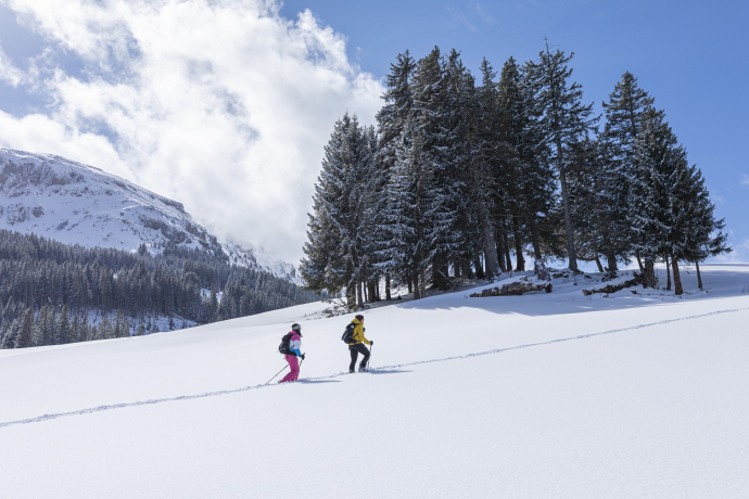 Schneeschuhwanderung Schönhalden