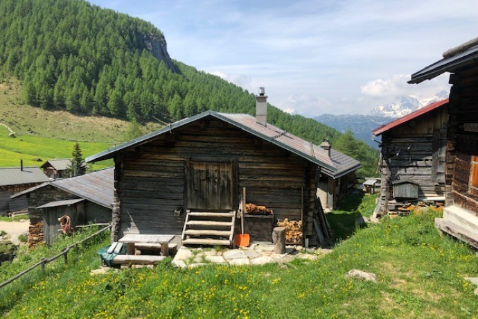 Exterior view summer