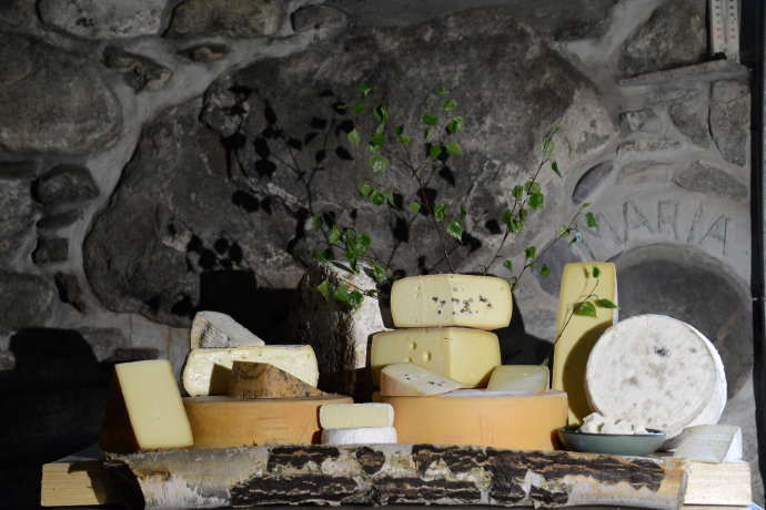 Sennereibesichtigung