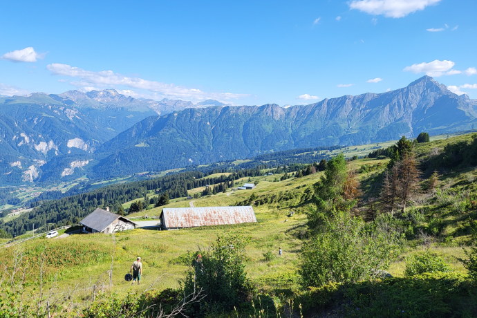 Einblick in den Allpalltag