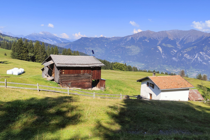 Maiensäss Sanestris (white) with stable