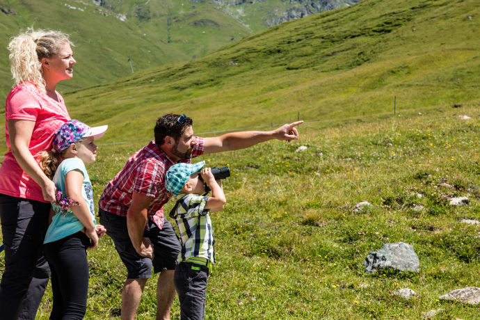 Zu Besuch bei den Murmeltieren
