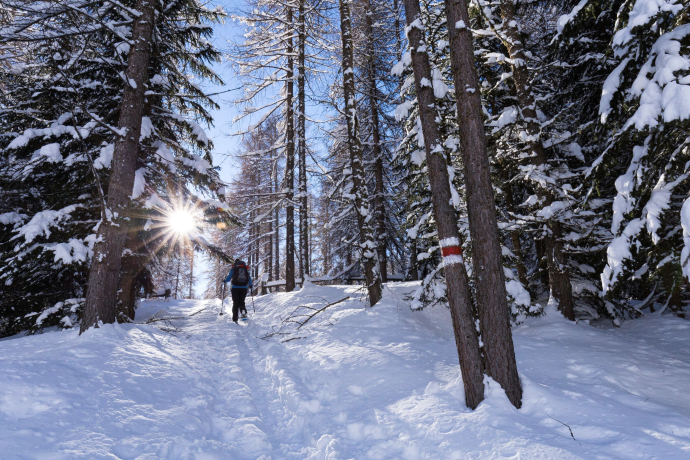 Schneeschuhtour für Kinder