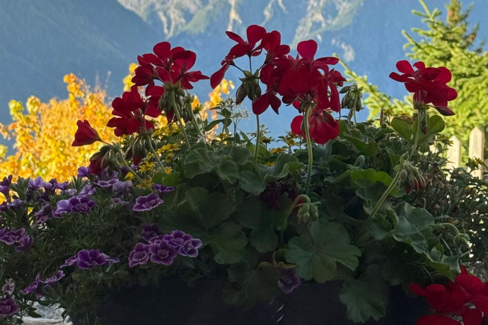 Ferienwohnung - Berge