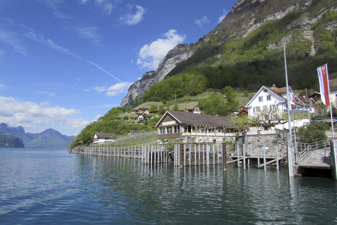 Restaurant Schifflände (ctd_2e167736-dc78-4262-878d-80929bc94753_image)