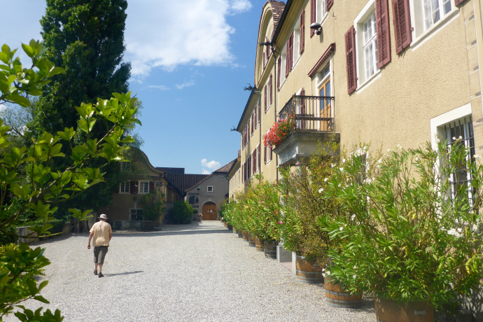 Schloss Salenegg (ctd_420b413b-25ca-4387-8748-bd79803fff3a_image) Schloss Salenegg (ctd_420b413b-25ca-4387-8748-bd79803fff3a_image)