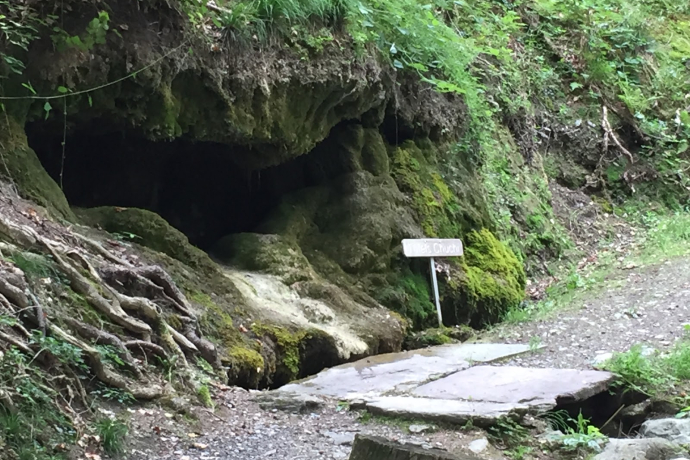 Sternstein (ctd_5084624e-d2c7-4846-8e9a-1d66d117f789_image)