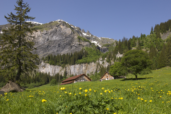 Alp Walabütz (ctd_5610d9b0-3206-45f2-bd26-bb5ca517bf4f_image) Alp Walabütz (ctd_5610d9b0-3206-45f2-bd26-bb5ca517bf4f_image)