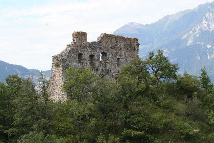 Castle ruin Wartenstein (ctd_5bed762d-34e8-4bae-bb17-8c63c3c6a057_image)