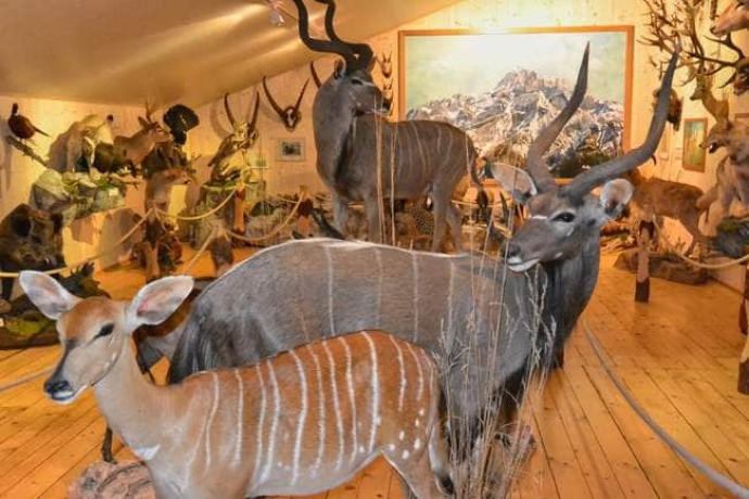 Jagdmuseum Vättis (ctd_7f36ca67-4cca-44b1-ba68-876d4201eec5_image)