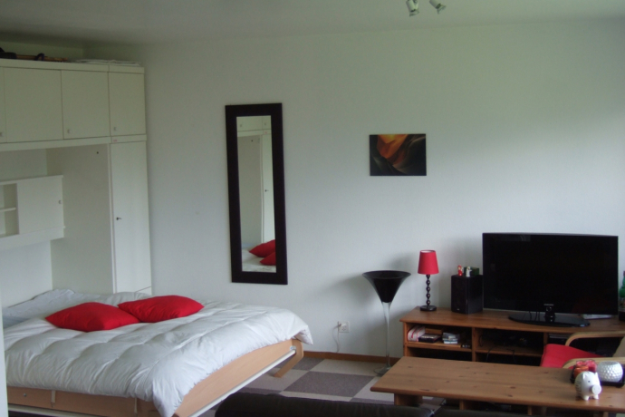 Gauenpark (Whg. Zürcher) (ctd_85fca628-9465-472a-8938-65009d583af3_image)