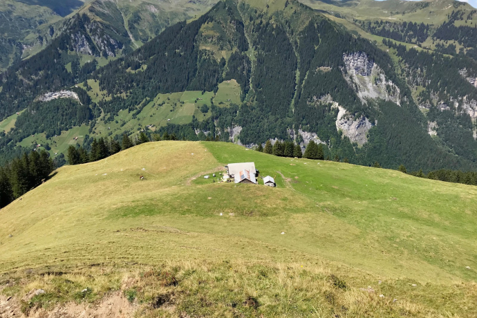 Gafarrabüel (ctd_8cd15912-9292-487f-a907-558cf9892e1a_image)