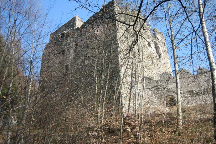 Burganlage Neu-Aspermont (ctd_8d942e32-50a0-4956-b517-02d47599afc0_image)