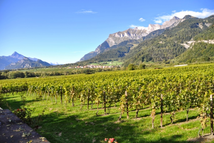Weingut Anjan Boner (ctd_9d155251-1f26-4400-801a-8b7eb6d0907a_image) Weingut Anjan Boner (ctd_9d155251-1f26-4400-801a-8b7eb6d0907a_image)